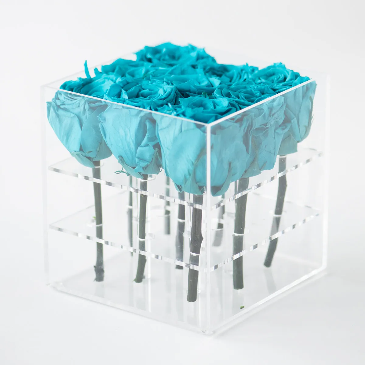 9 Roses Preserved