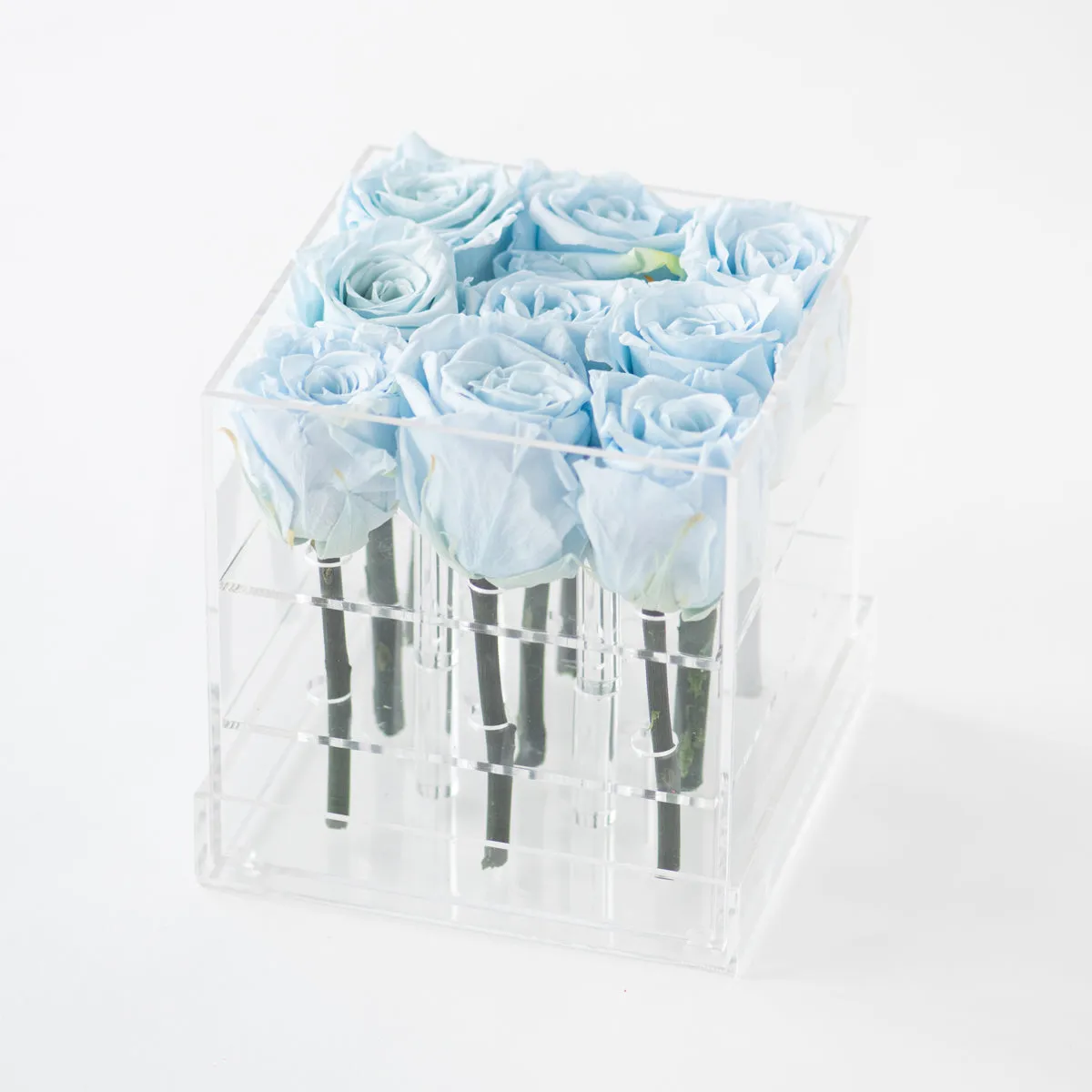 9 Roses Preserved