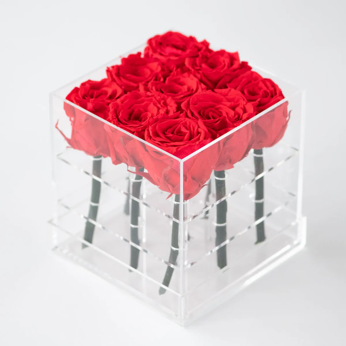 9 Roses Preserved