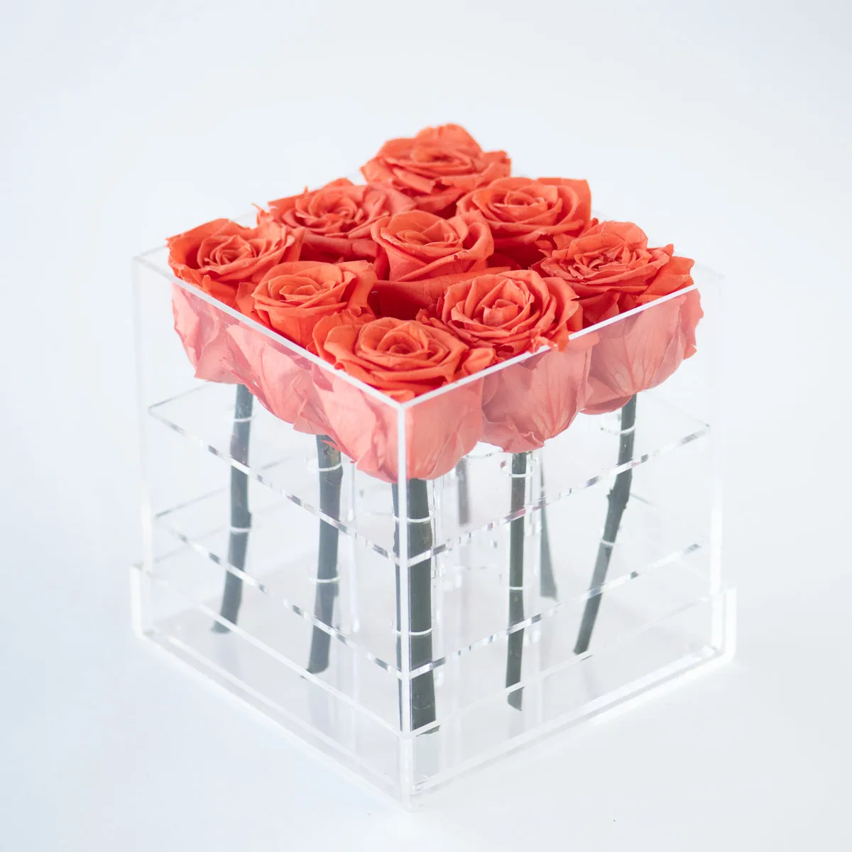9 Roses Preserved