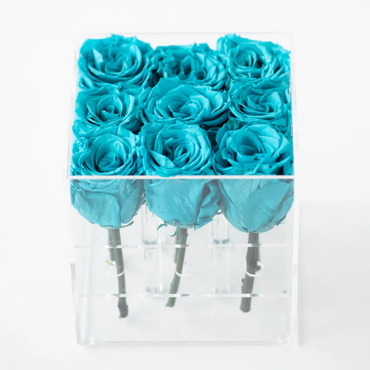 9 Roses Preserved