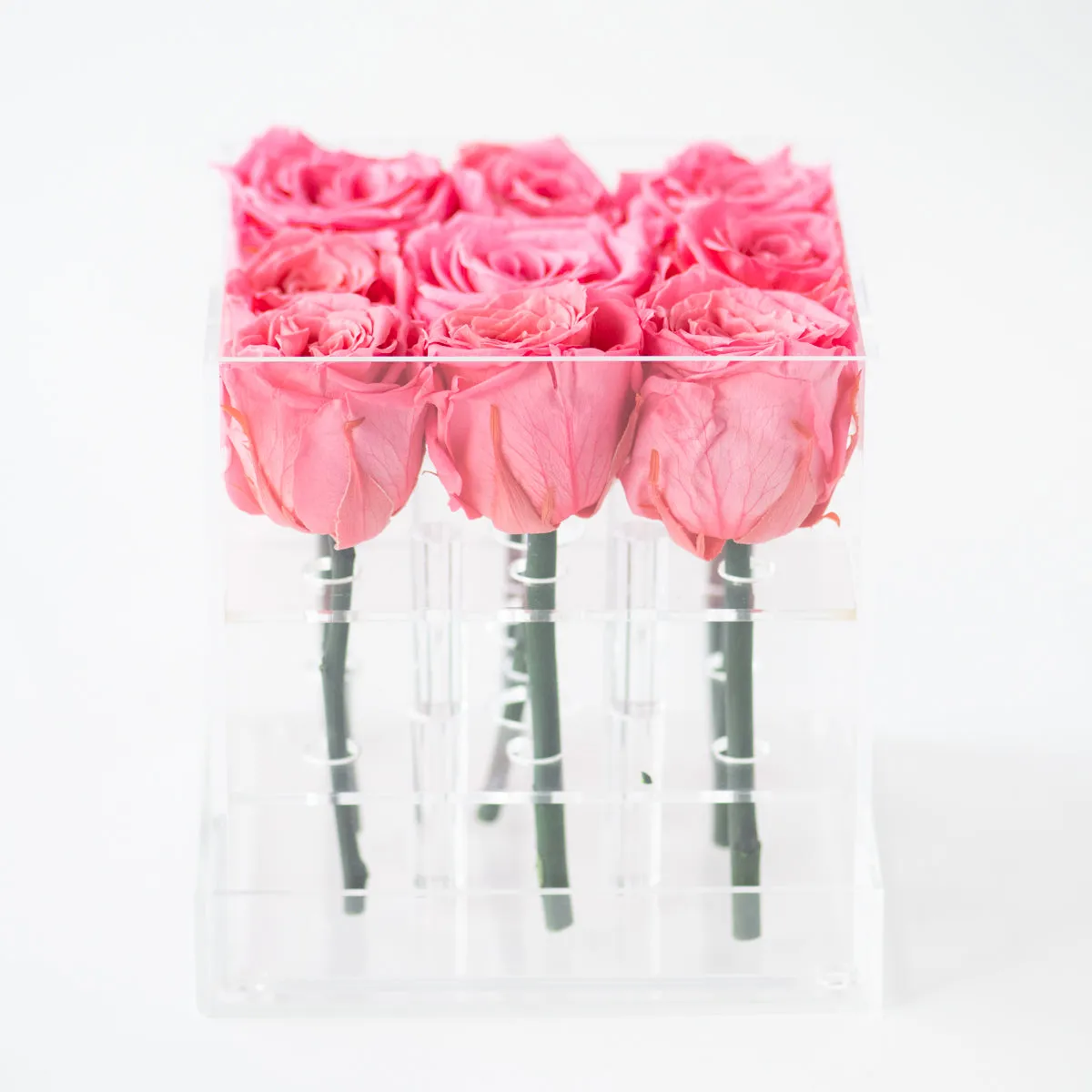 9 Roses Preserved