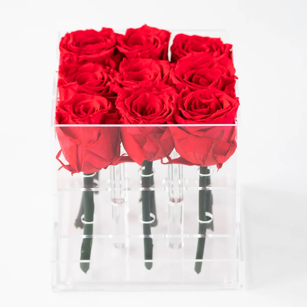 9 Roses Preserved