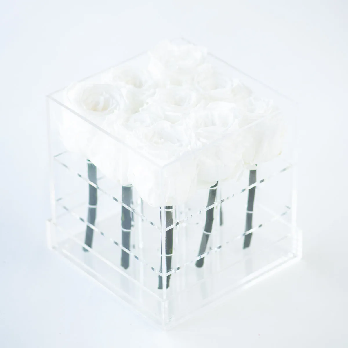 9 Roses Preserved