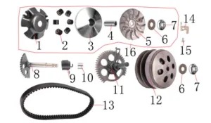 Bellissima 125 Clutch