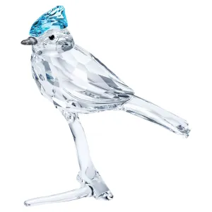 Blue Jay