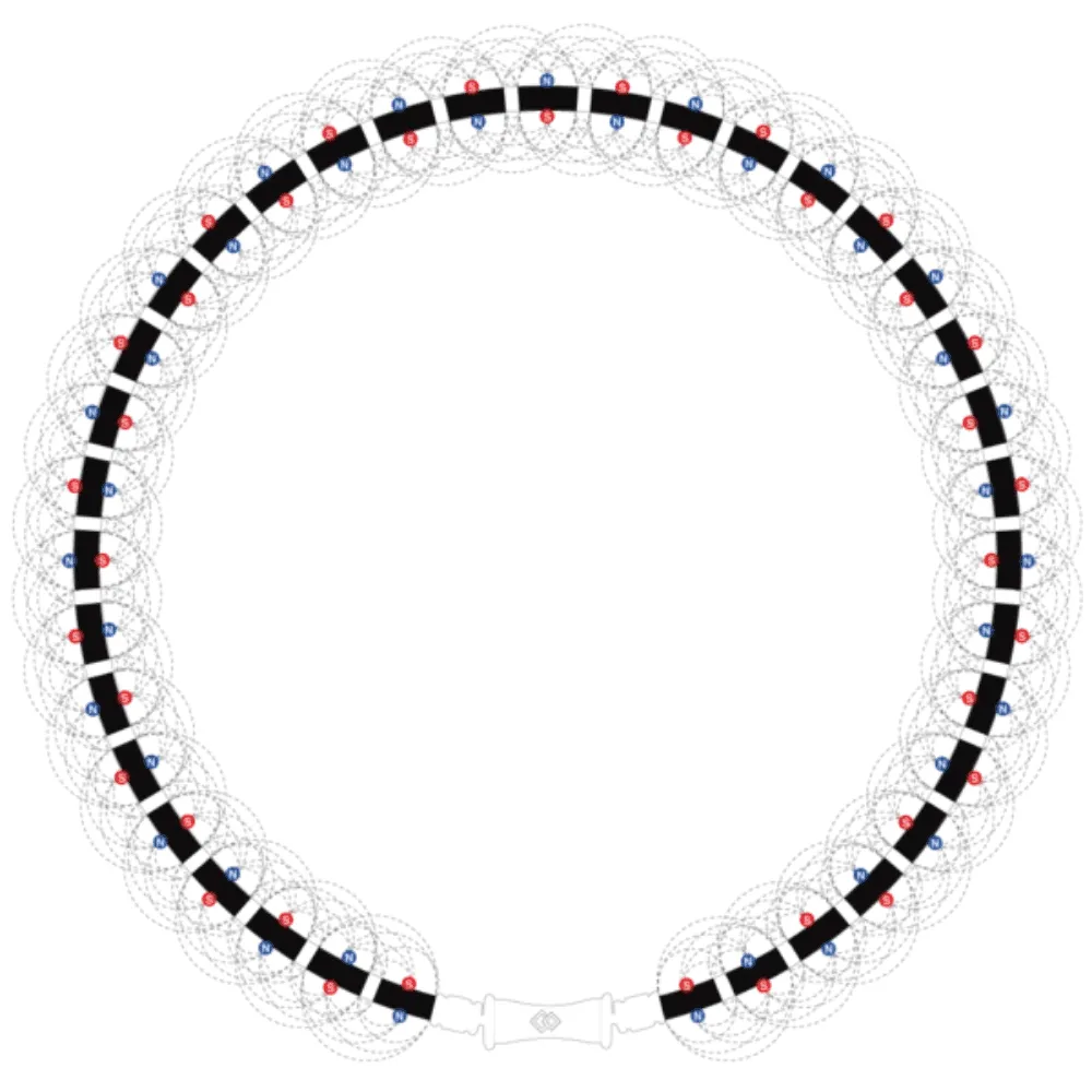 Colantotte Tao Raffi Magnetic Necklace
