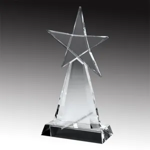 E2956 Evolving Star Crystal Award