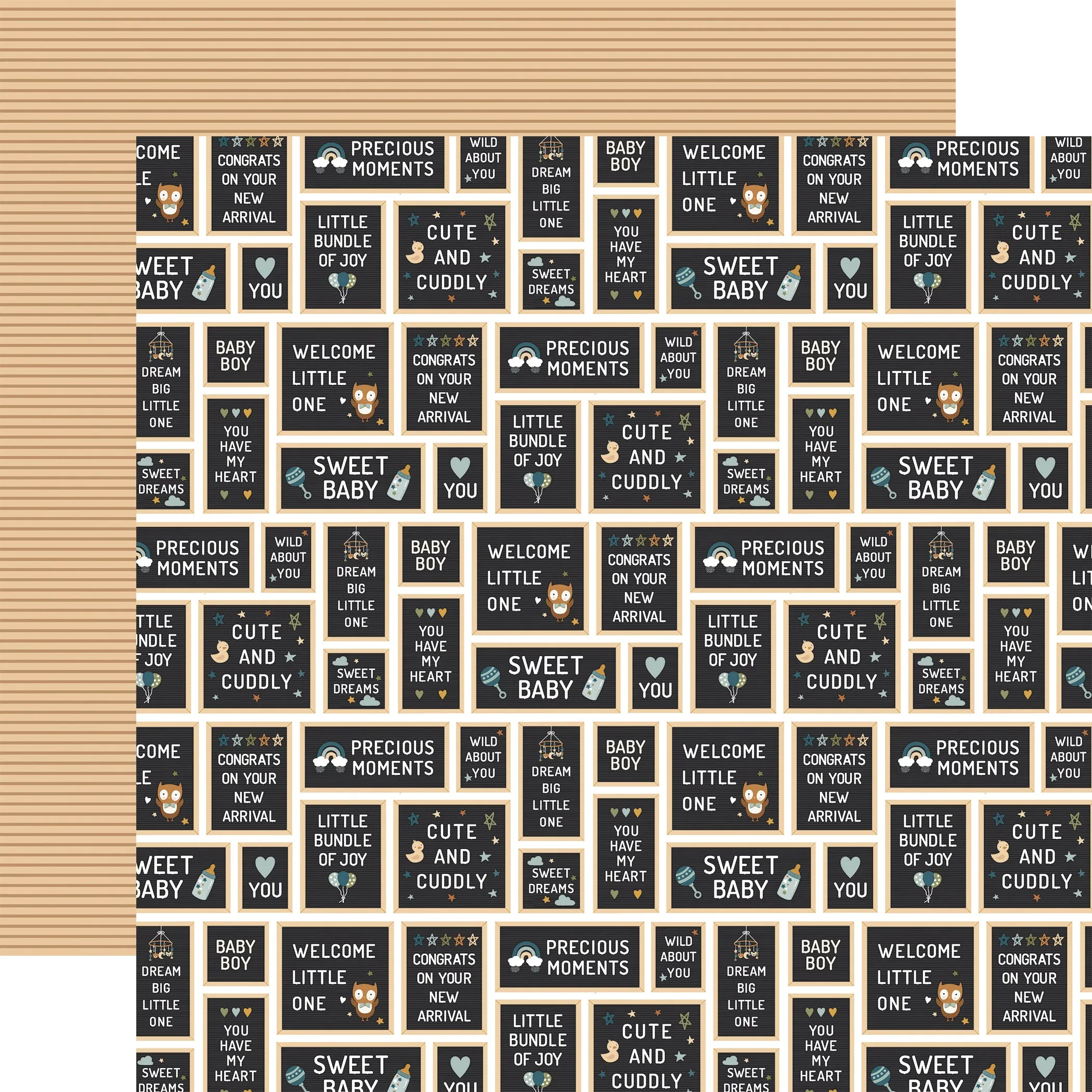 Echo Park - Special Delivery Baby Boy - 12x12 Single Sheet / Baby Boy Signs