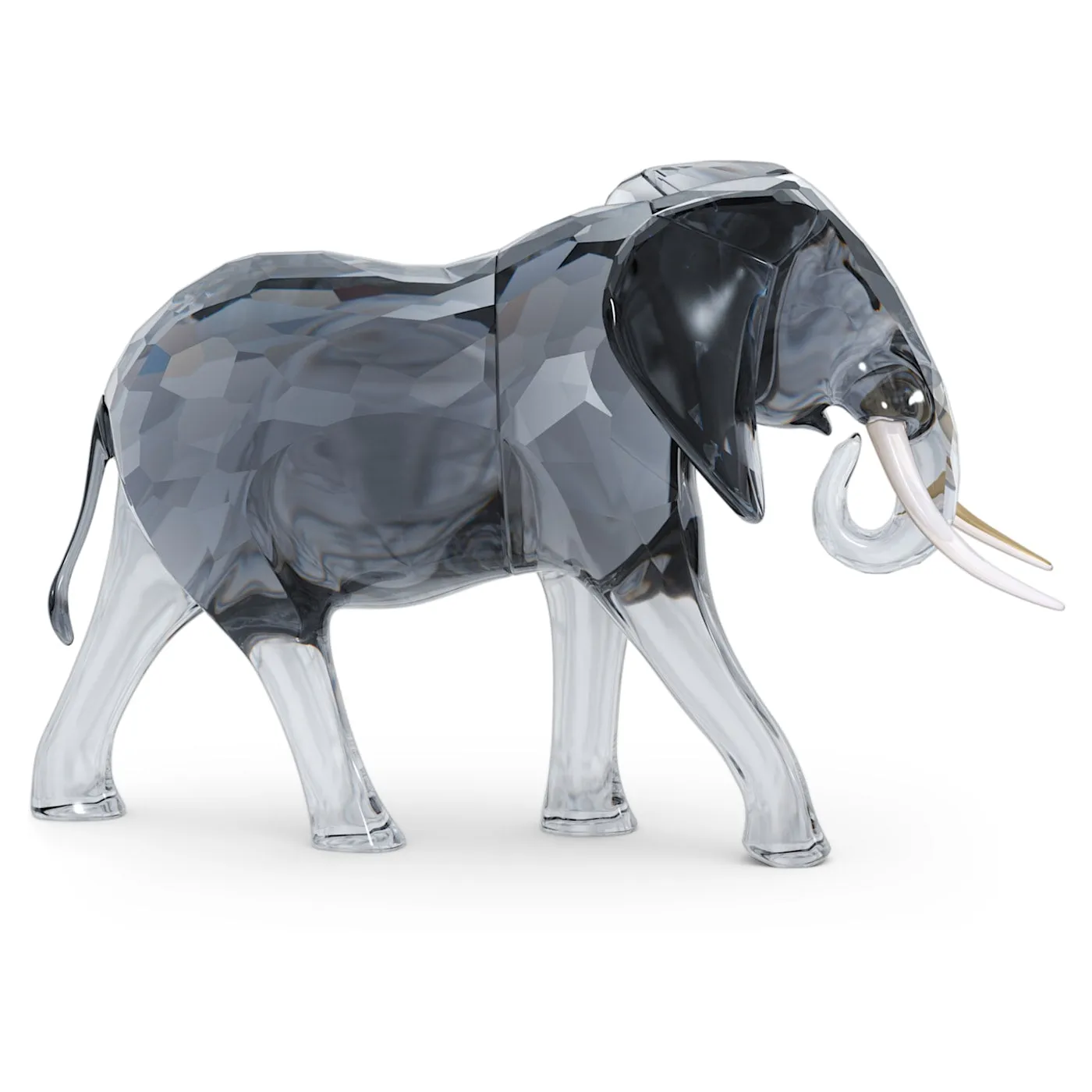 Elegance of Africa Elephant Bull