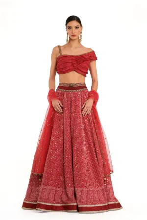 Embroidered Lehenga with Ruffle Blouse