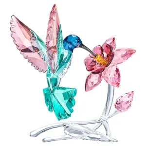 Hummingbird 5461872
