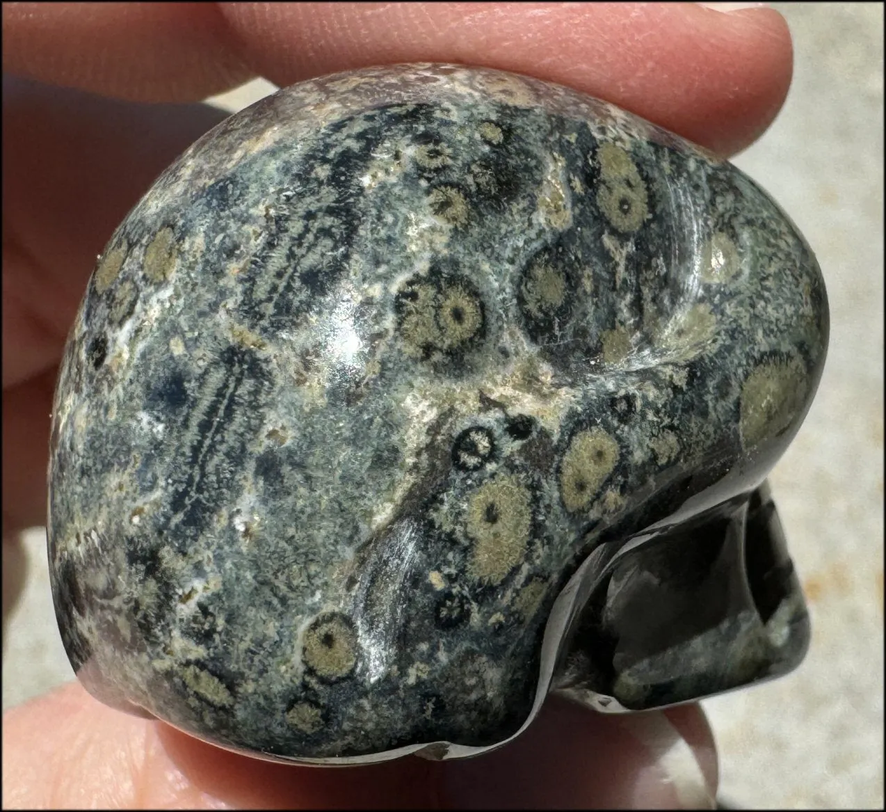 KAMBABA JASPER Crystal Skull - Heart Chakra, Grounding - with Synergy 7  years