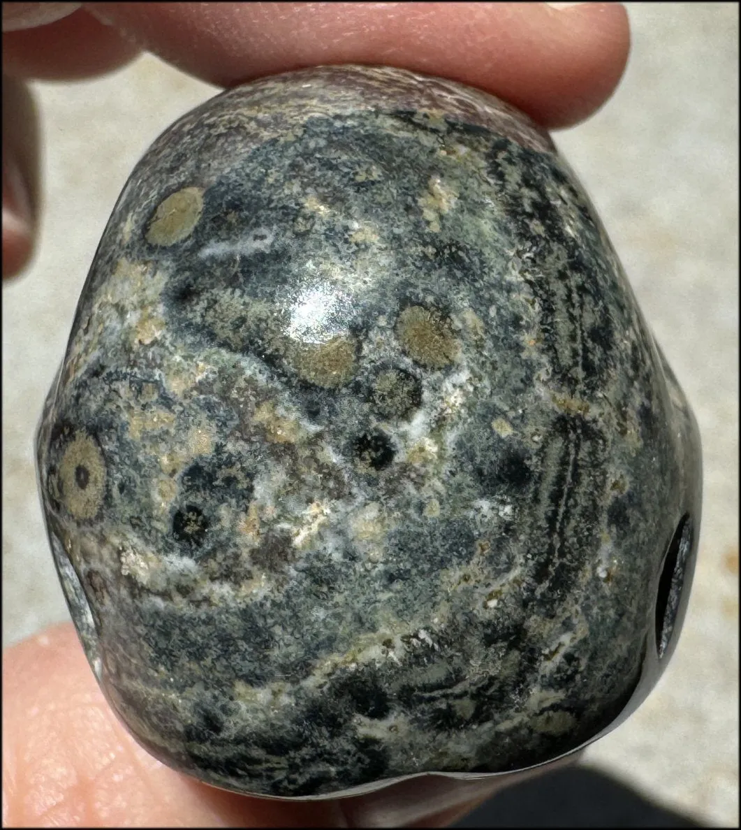 KAMBABA JASPER Crystal Skull - Heart Chakra, Grounding - with Synergy 7  years