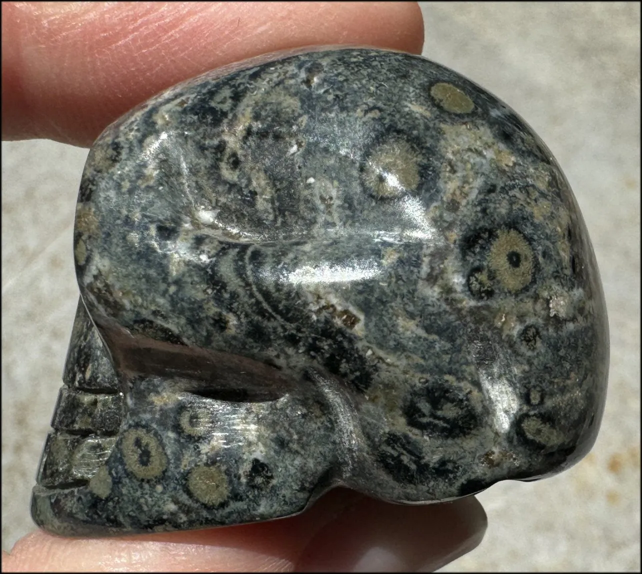 KAMBABA JASPER Crystal Skull - Heart Chakra, Grounding - with Synergy 7  years