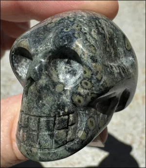 KAMBABA JASPER Crystal Skull - Heart Chakra, Grounding - with Synergy 7  years