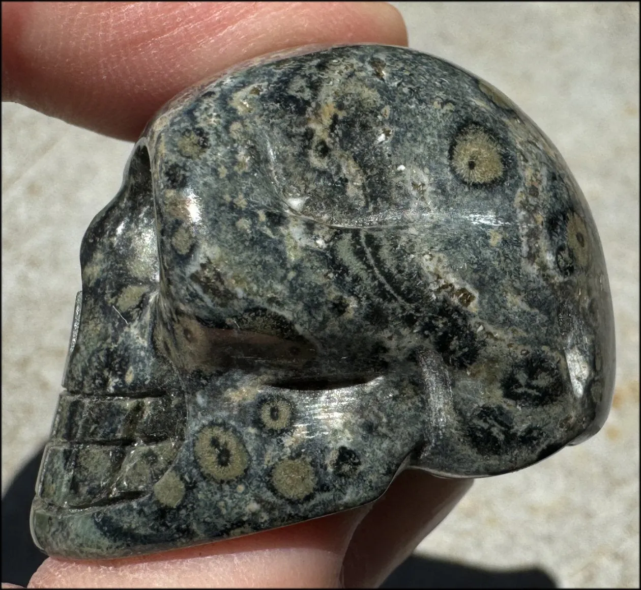 KAMBABA JASPER Crystal Skull - Heart Chakra, Grounding - with Synergy 7  years