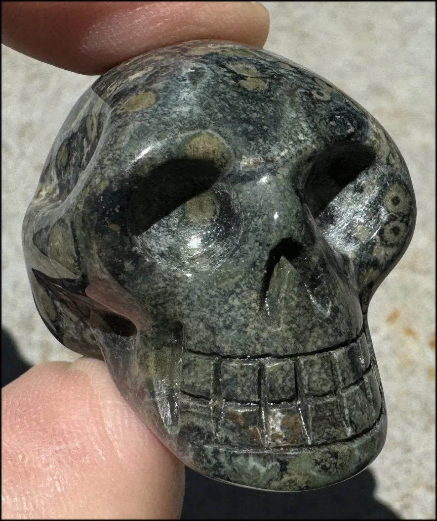 KAMBABA JASPER Crystal Skull - Heart Chakra, Grounding - with Synergy 7  years