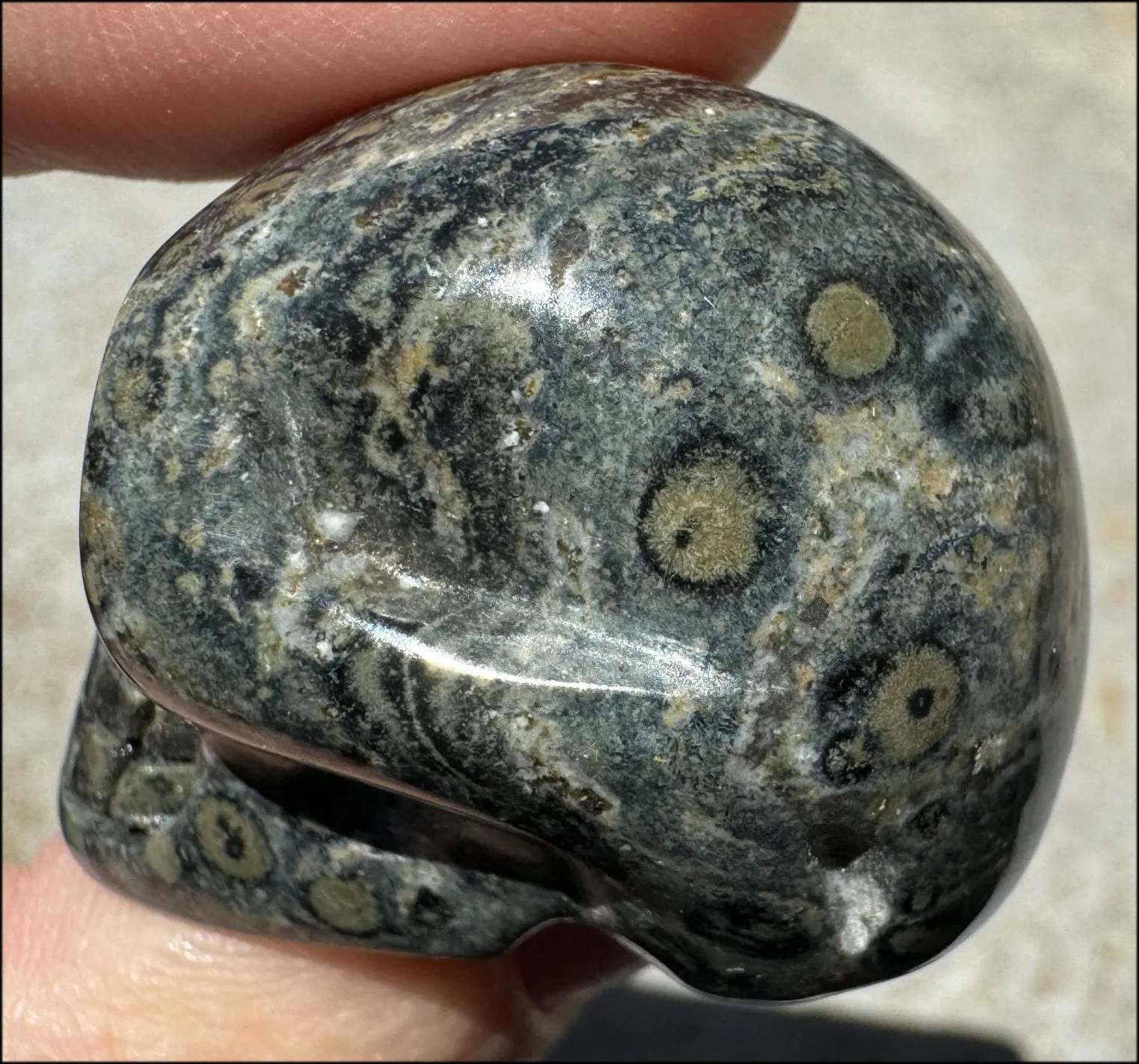 KAMBABA JASPER Crystal Skull - Heart Chakra, Grounding - with Synergy 7  years
