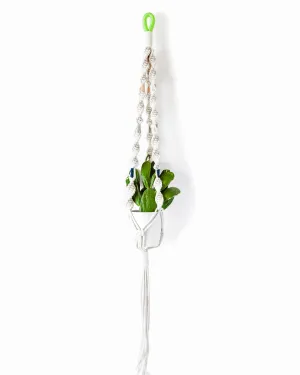 Macrame Plant Hangers in Colorblock Hawai