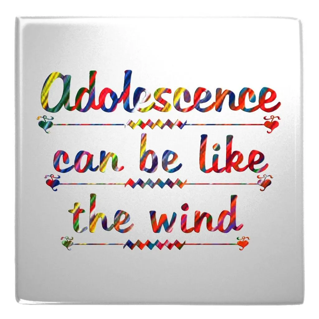 Motivational Quote Metal Magnets, Sarcastic Quotes, thought provoking Quotes metal magnets, follow the artist