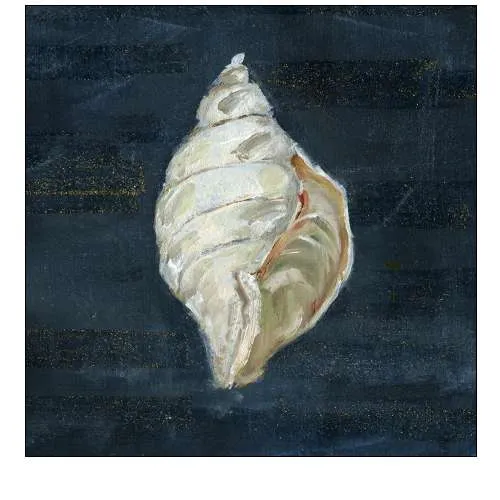 Night Shell II