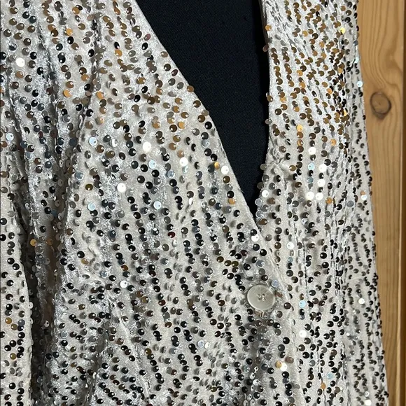 SANCTUARY Charmed Blazer