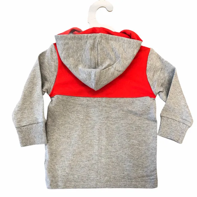 Satva Organic Cotton Boy's Colorblock Hoodie infant - Gray (2T)