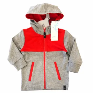 Satva Organic Cotton Boy's Colorblock Hoodie infant - Gray (2T)