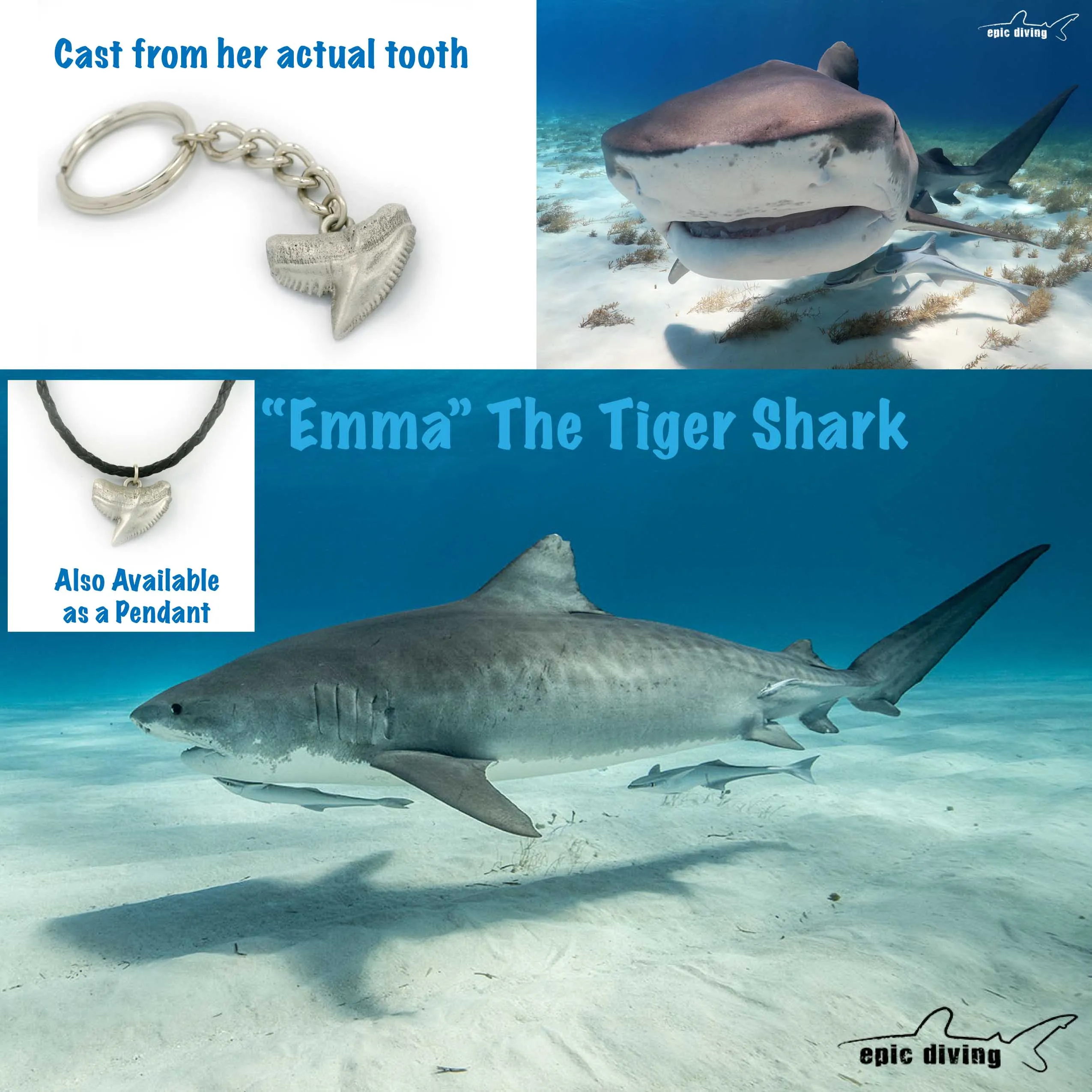 Shark Tooth Keychain, Shark Tooth Key Ring, Tiger Shark Tooth Keychain, Gifts for Shark Lovers, Shark Key Fob, Pewter Key Chain, Scuba Gifts