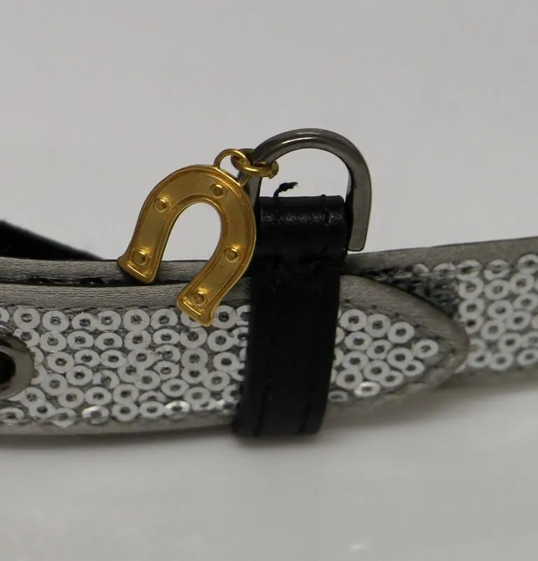 Silver Silk Sequined Silver Logo Belt