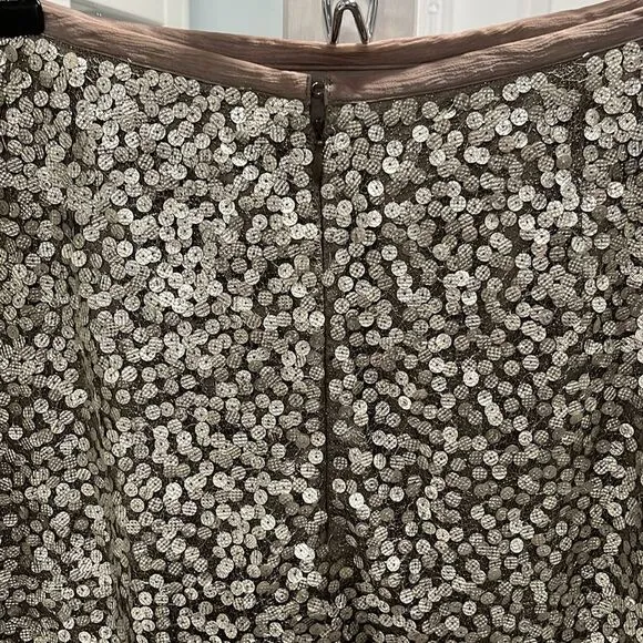 TERI JON Sportswear Silver Sequined Mesh Skirt, Size 12