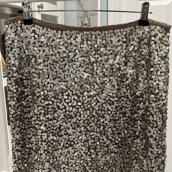 TERI JON Sportswear Silver Sequined Mesh Skirt, Size 12