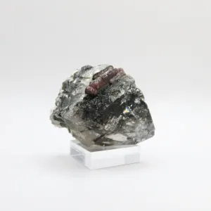 Tourmalinated Quartz (II)